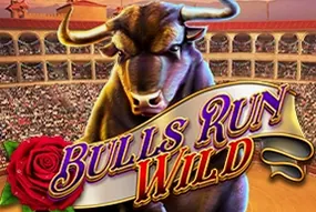 Bulls Run Wild