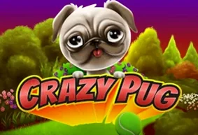 Crazy Pug