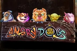 Angry Dogs